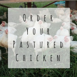 Sunbury PA Pastured Chicken for sale Northumberland County