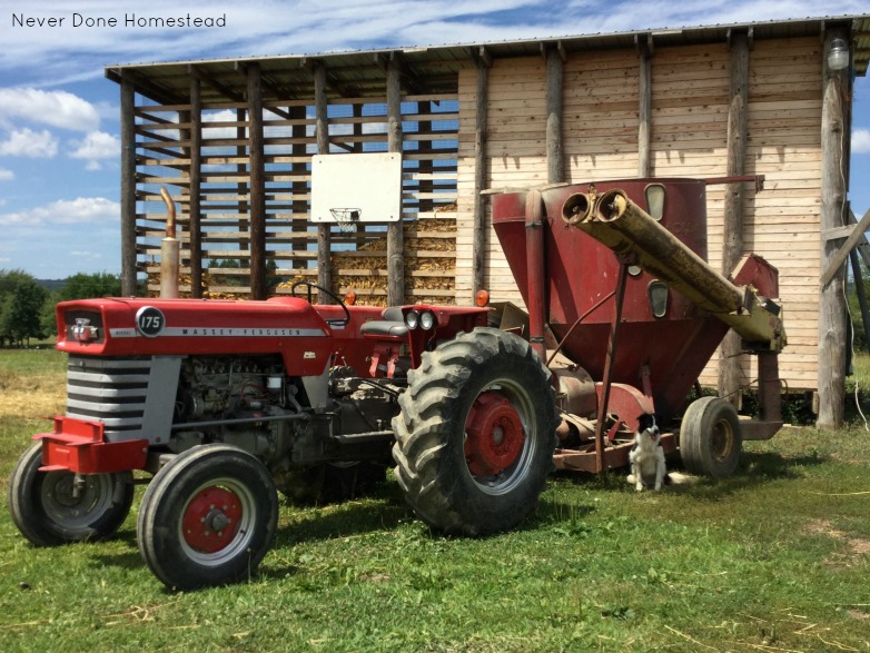 GMO Free Feed Chicken Sunbury PA