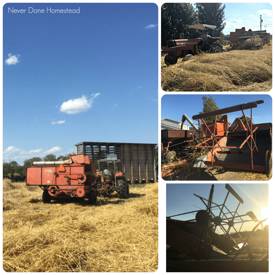 Never Done Homestead